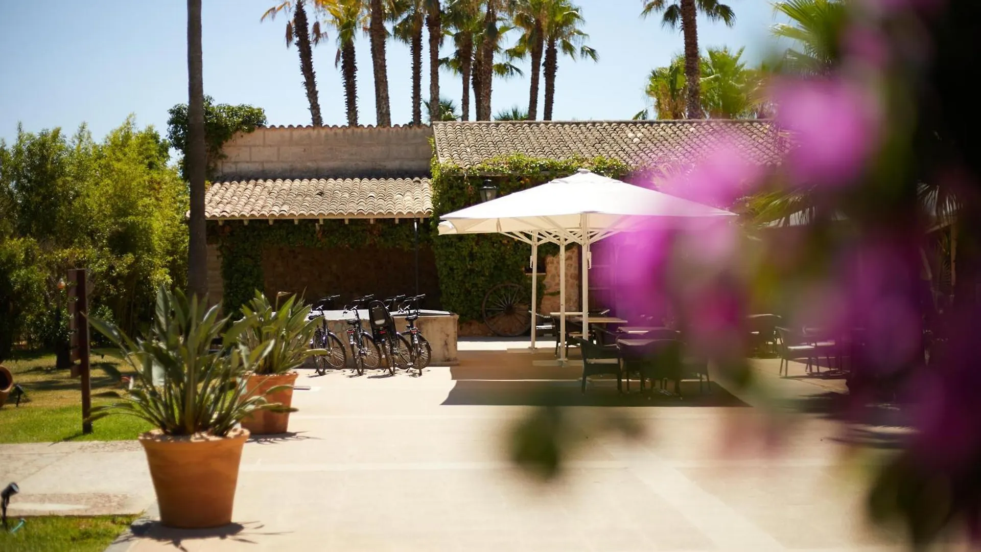 Farm stay Virrey Finca Hotel
